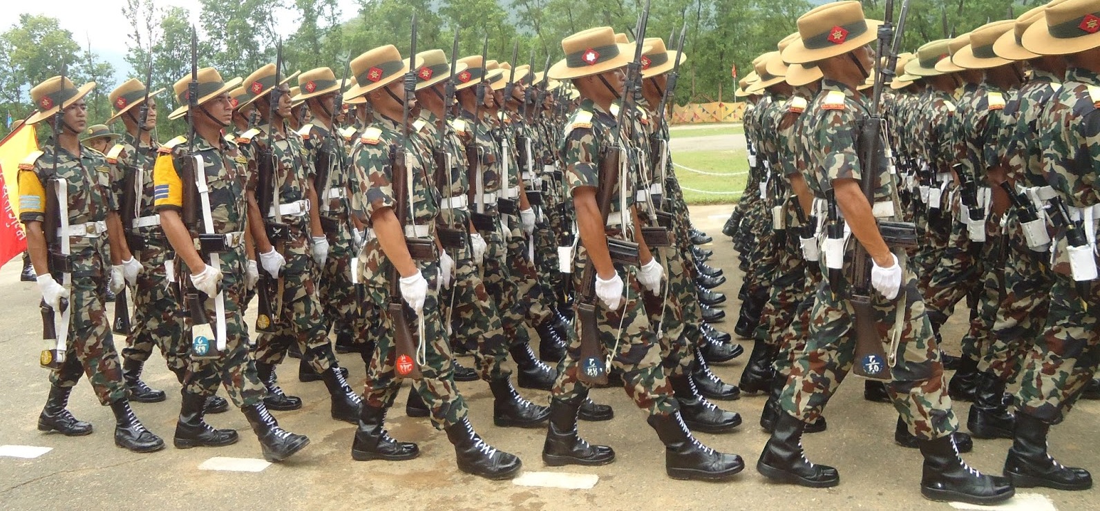 नेपाली सेनाले माग्यो २२९ अधिकृत क्याडेट पदको लागि दरखास्त