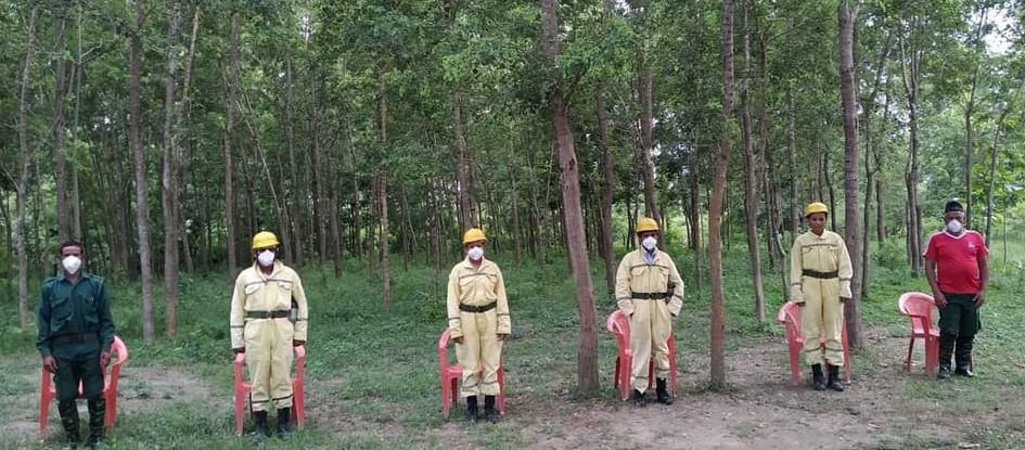 कञ्चनपुरको बैजनाथ सामुदायिक वनमा चोरी तस्करी नियन्त्रण गर्न विशेष कार्यदल परिचालन