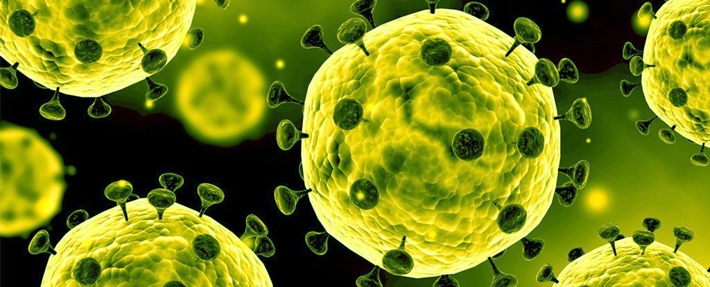 कोरोना संक्रमण बढ्दै : २४ वटा नमूना परीक्षण गर्दा सबै ओमिक्रोन भेरिएन्ट