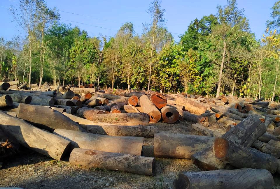 काठ दाउरामाथिको प्रतिबन्ध फुकुवा सम्बन्धी सरकारको निर्णयको बैजनाथ सामुदायिक वनद्वारा स्वागत