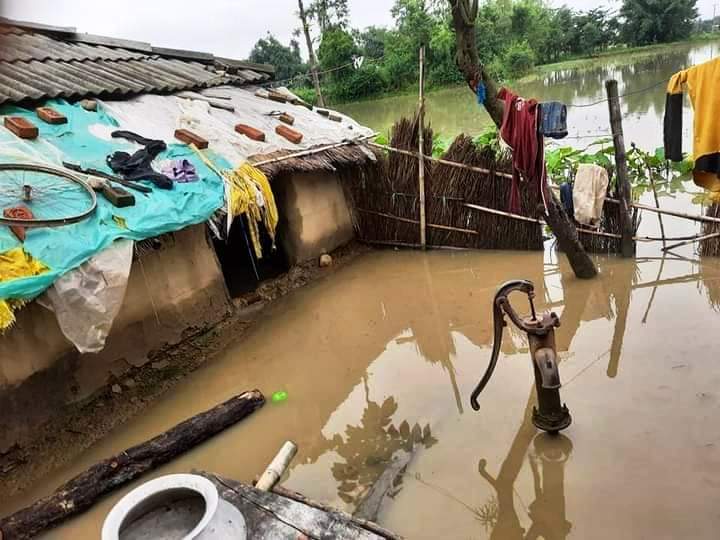 डुबानका घर सरसफाइ गरिँदै, अजिङ्गर र सर्पको डर