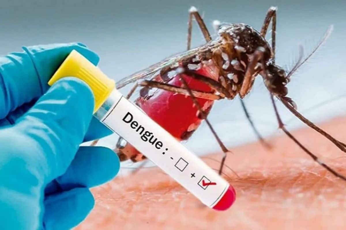 डेंगु संक्रमणबाट एकै दिन ४ जनाको मृत्यु, २७ हजार भन्दा बढी संक्रमित