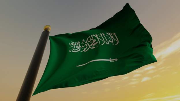 साउदीमा १७७ नेपालीलाई २९ करोडको जरिबाना