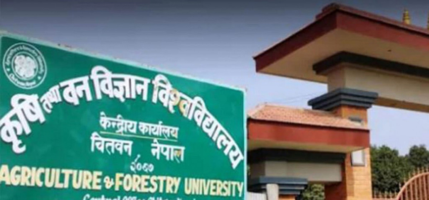 इजरायलमा रहेका ११९ नेपाली विद्यार्थीलाई स्थानान्तरण गरिँदै छः कृषि विश्वविद्यालय