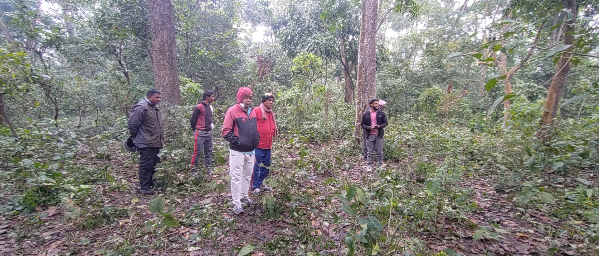 निजगढमा बाघले चौपाया मारेर खान थाले पछि पूरै गाउँ त्रसित